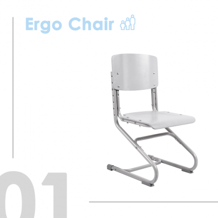 1. Ergo Chair